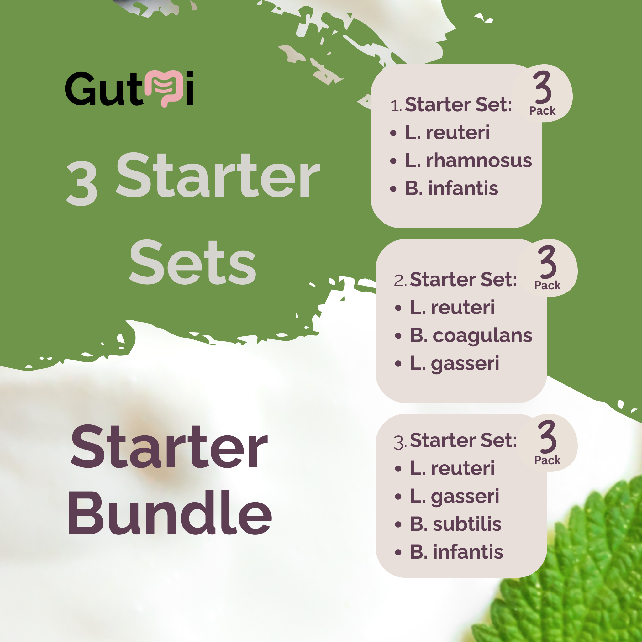 L. reuteri + L. rhamnosus + B. infantis + B. coagulans + L. gasseri + B. subtilis | Starter Bundle | Yogurt Starter Bundle | Pack of 3 Sets